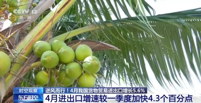 外贸进出口表现亮眼背后的底气AG真人app关税战下 中国(图13)